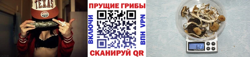 Псилоцибиновые грибы MAGIC MUSHROOMS  Купить закладки  Кызыл 